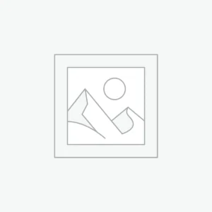 Online WordPress Plug-in Builder